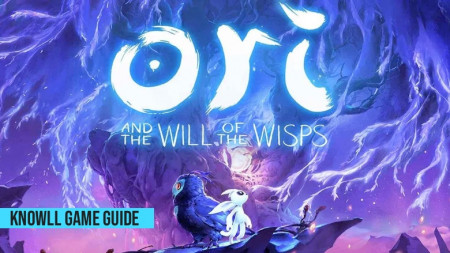 Ori and the Will of the Wisps - Game Guide