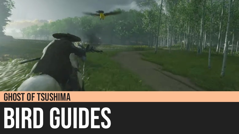 Ghost of Tsushima: Bird Guides