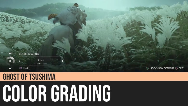 Ghost of Tsushima: Color Grading