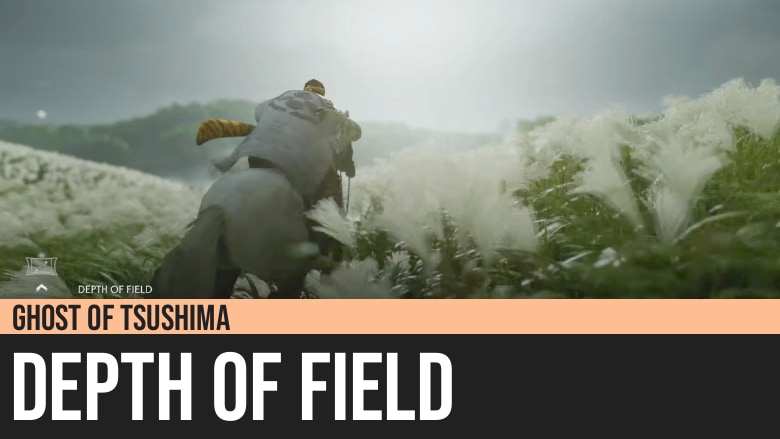 Ghost of Tsushima: Depth of Field