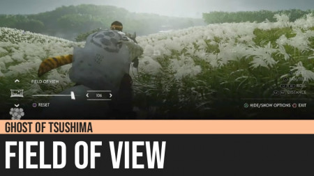 Ghost of Tsushima: Field of View