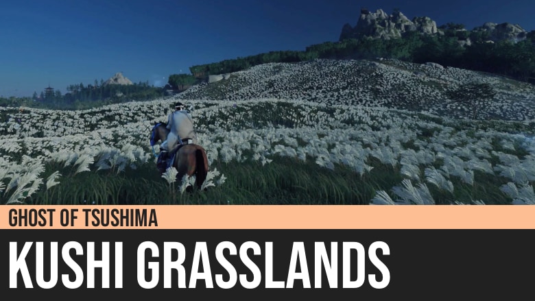 Ghost of Tsushima: Kushi Grasslands