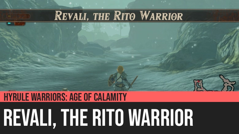 Hyrule Warriors: Age of Calamity - Revali, the Rito Warrior