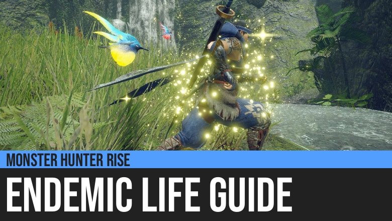 Monster Hunter Rise: Endemic Life Guide
